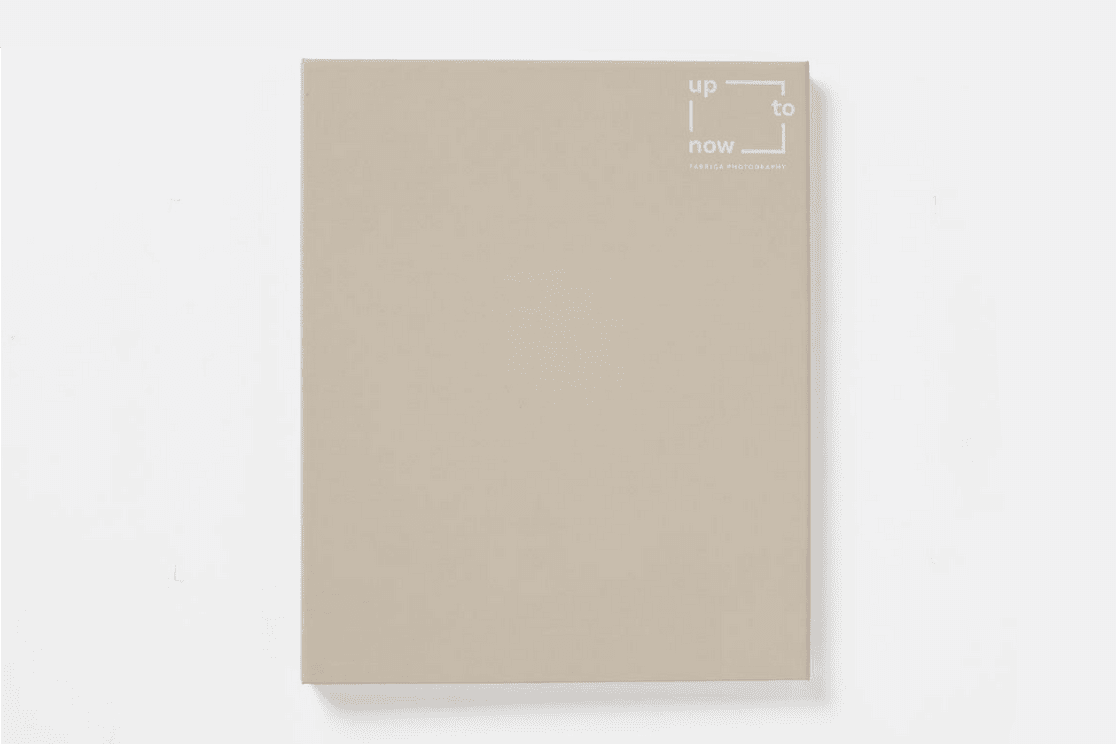 UP TP NOW FABRICA BOOK